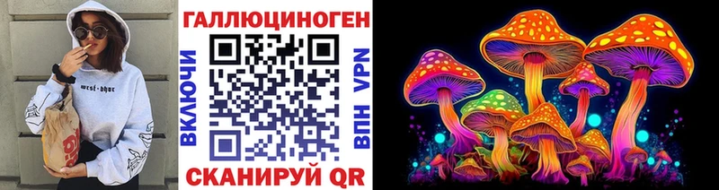 даркнет клад  Полтавская  Псилоцибиновые грибы Magic Shrooms 